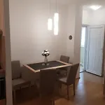 Bozic D 크리크베니카