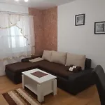 Bozic D *